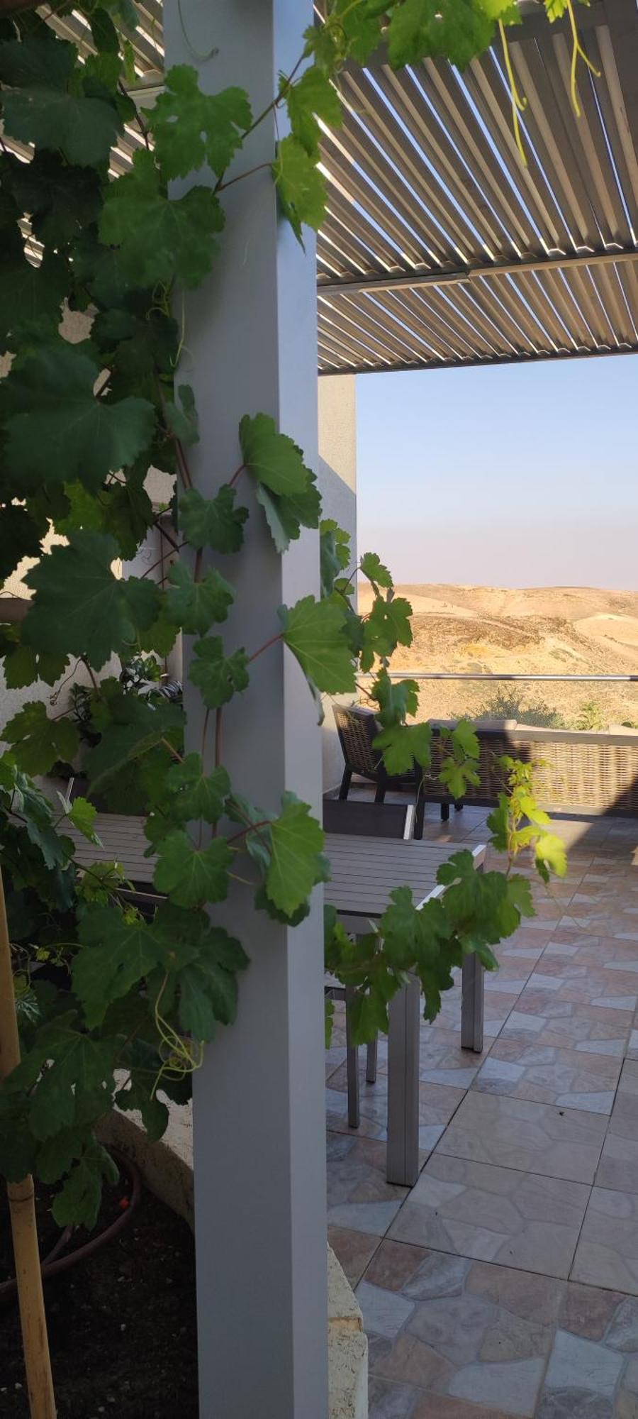 " Arada " Luxury House Βίλα Εξωτερικό φωτογραφία